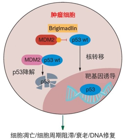 图4.jpg