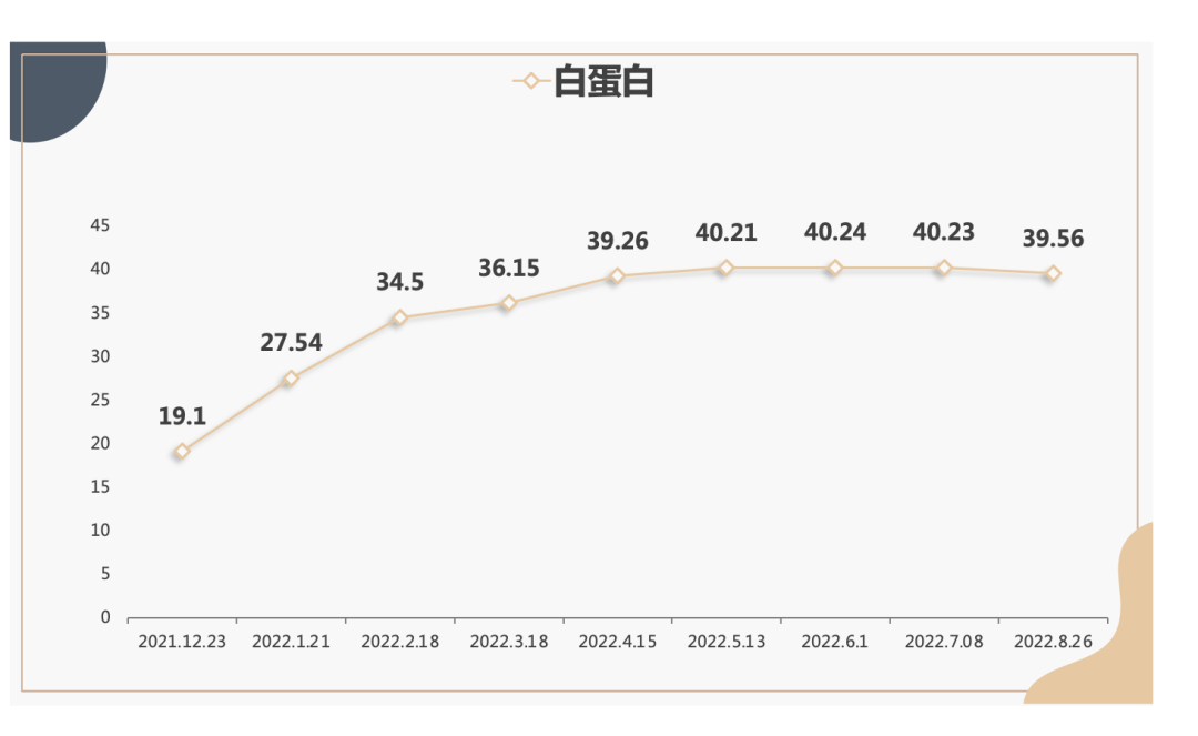 截屏2023-02-01 10.51.33.png