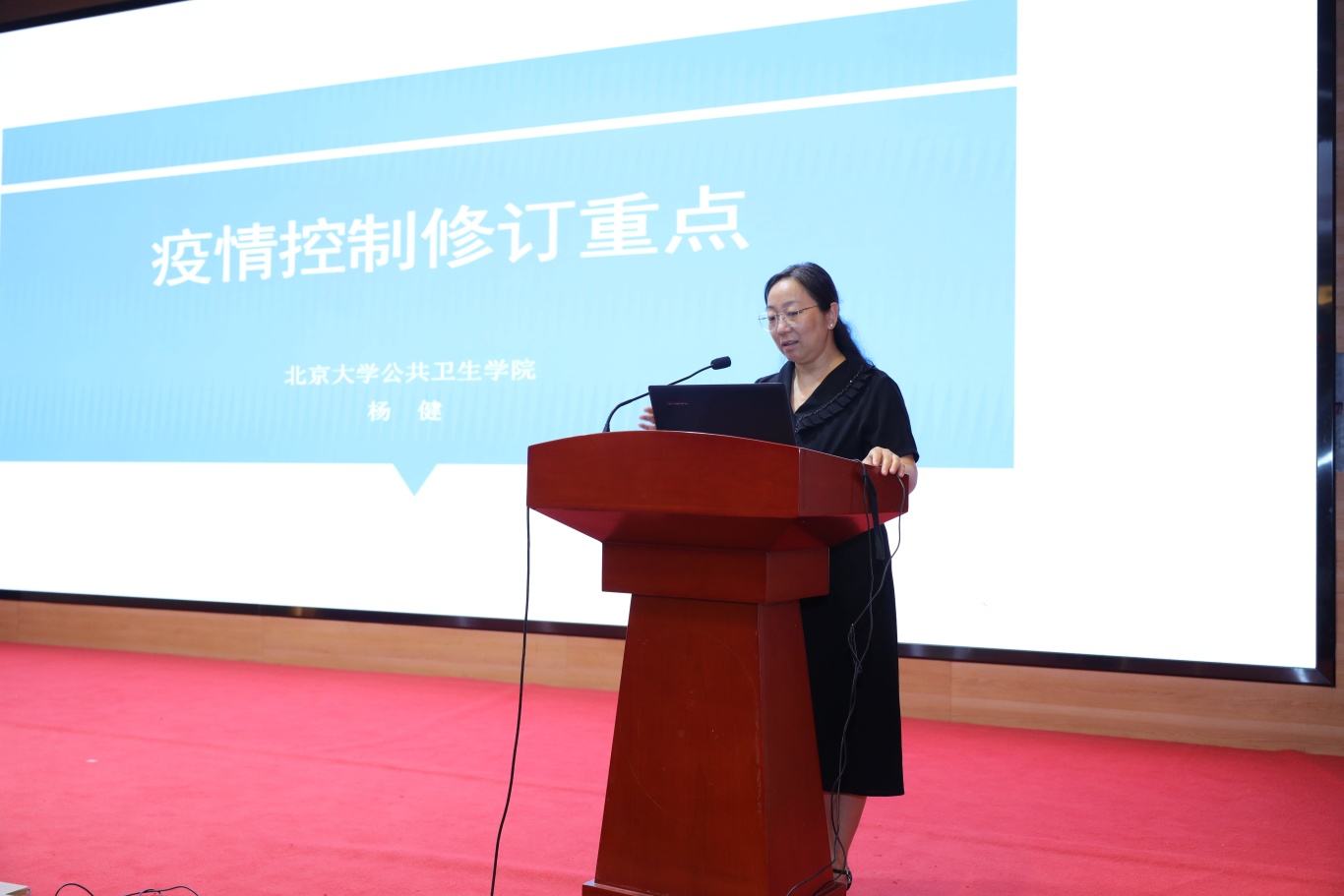 杨健发言.JPG