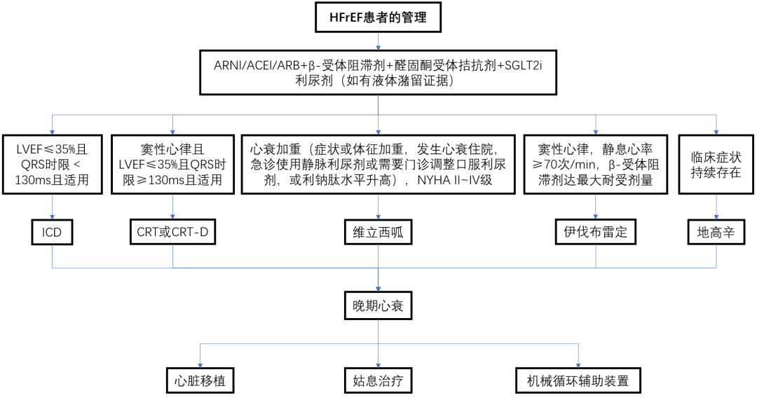 HFrEF治疗流程.png