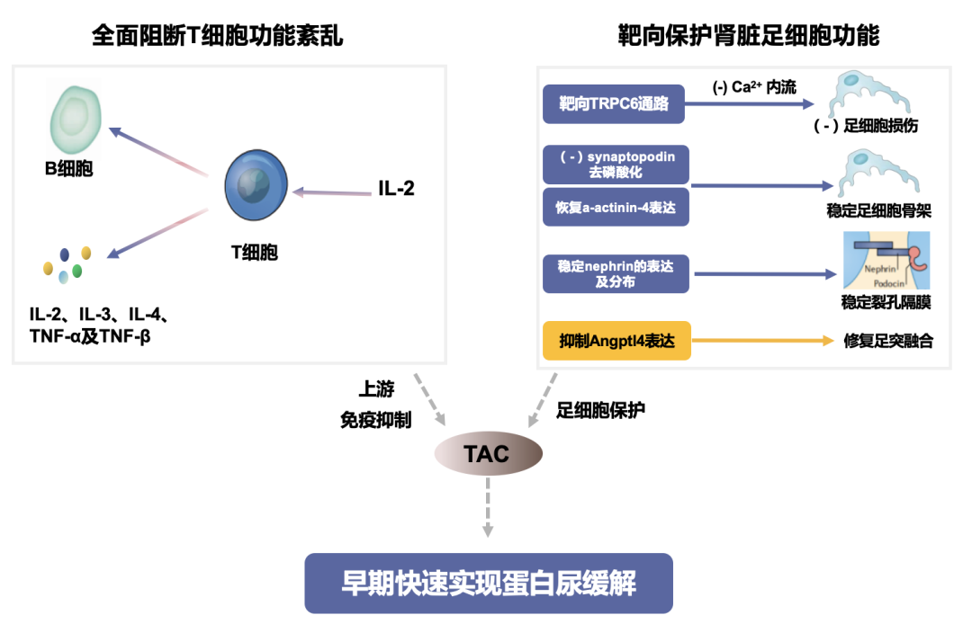 截屏2023-02-01 10.49.46.png