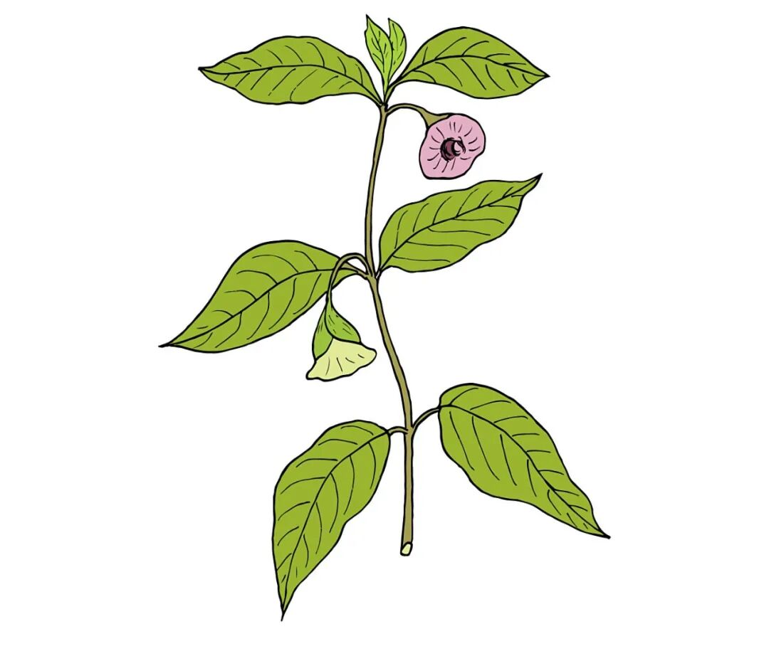 stock-vector-227131318-XL.jpg