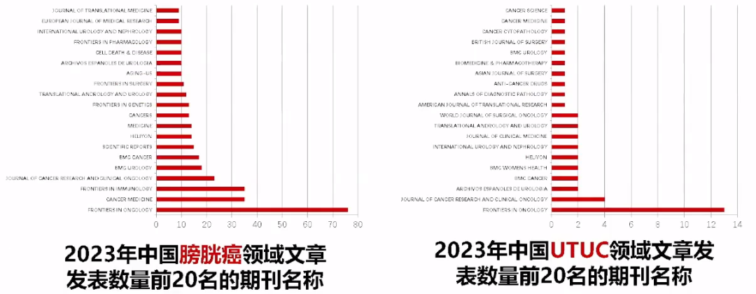 1706081228000.png