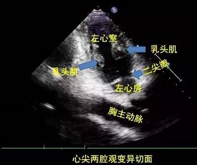 微信图片_20210123093413.png