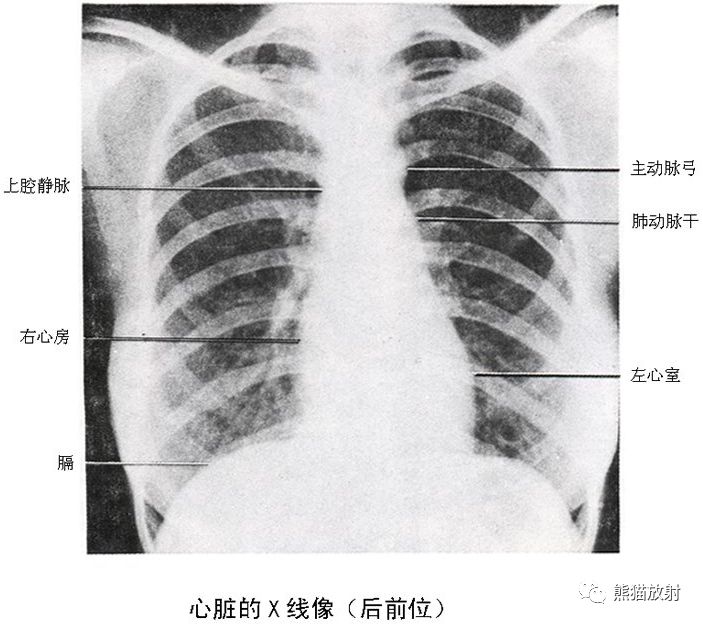 微信图片_20210330101901.jpg