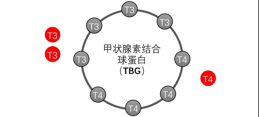 微信图片_20210810135322.jpg