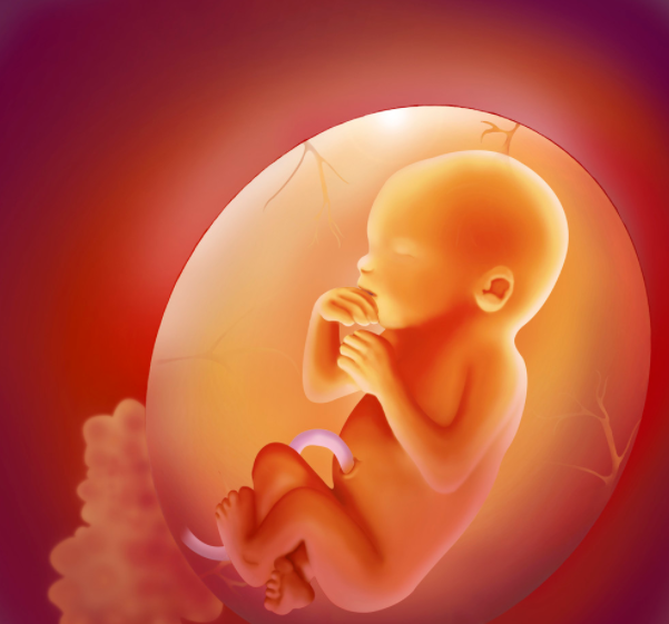 360截图18750815615847.png