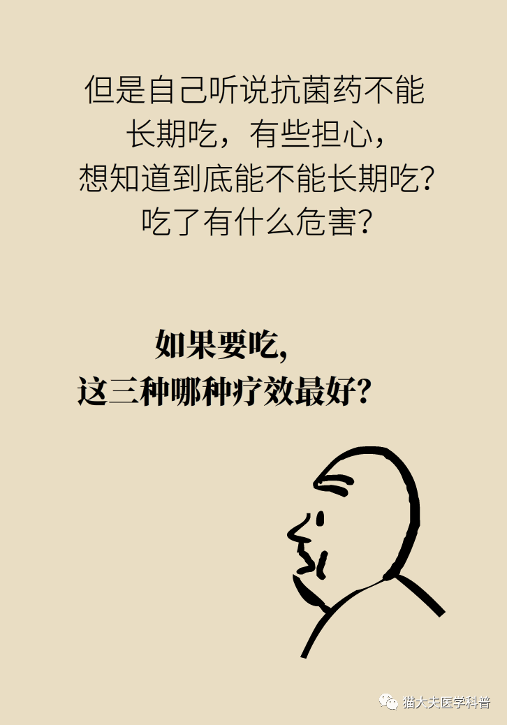 猫猫4.png