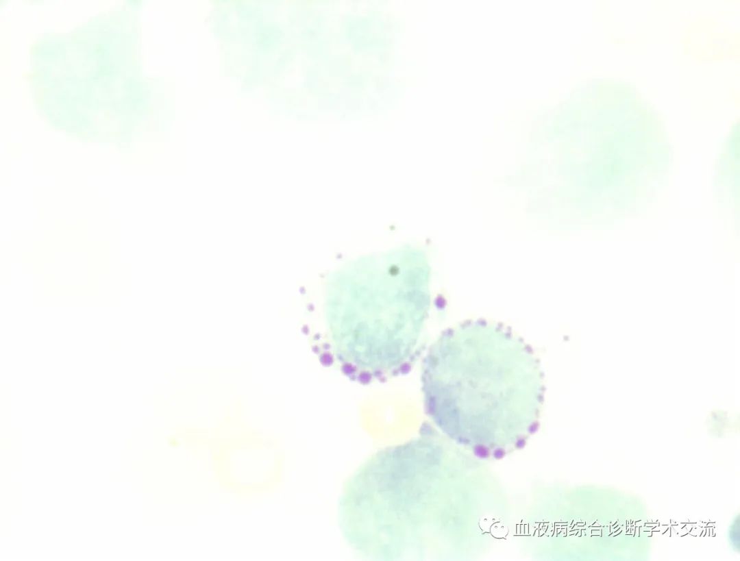 微信图片_20230112154320.jpg