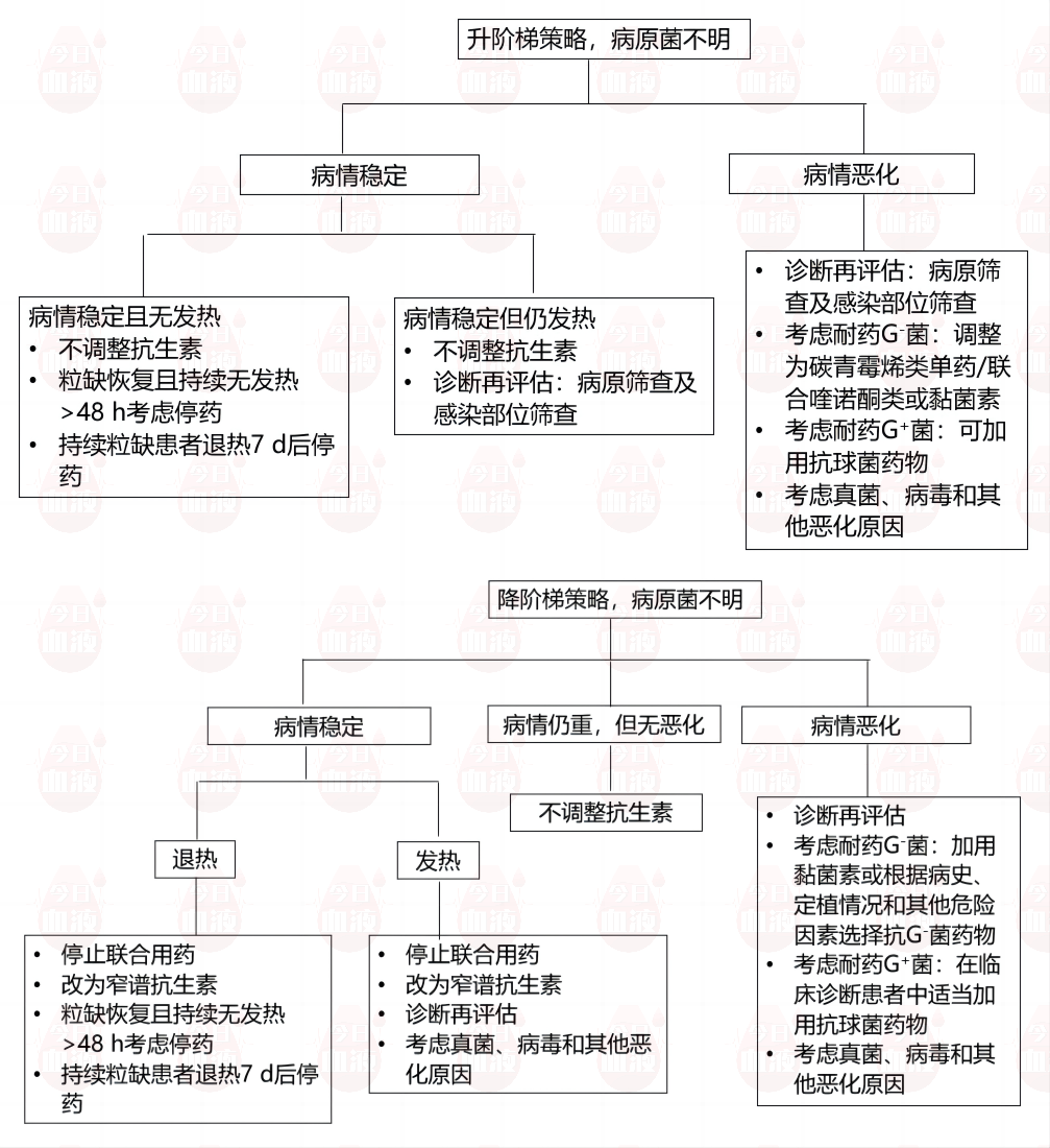 d7 翟卫华老师-图1  经验性抗菌药物治疗未明确病原菌的粒<span id=