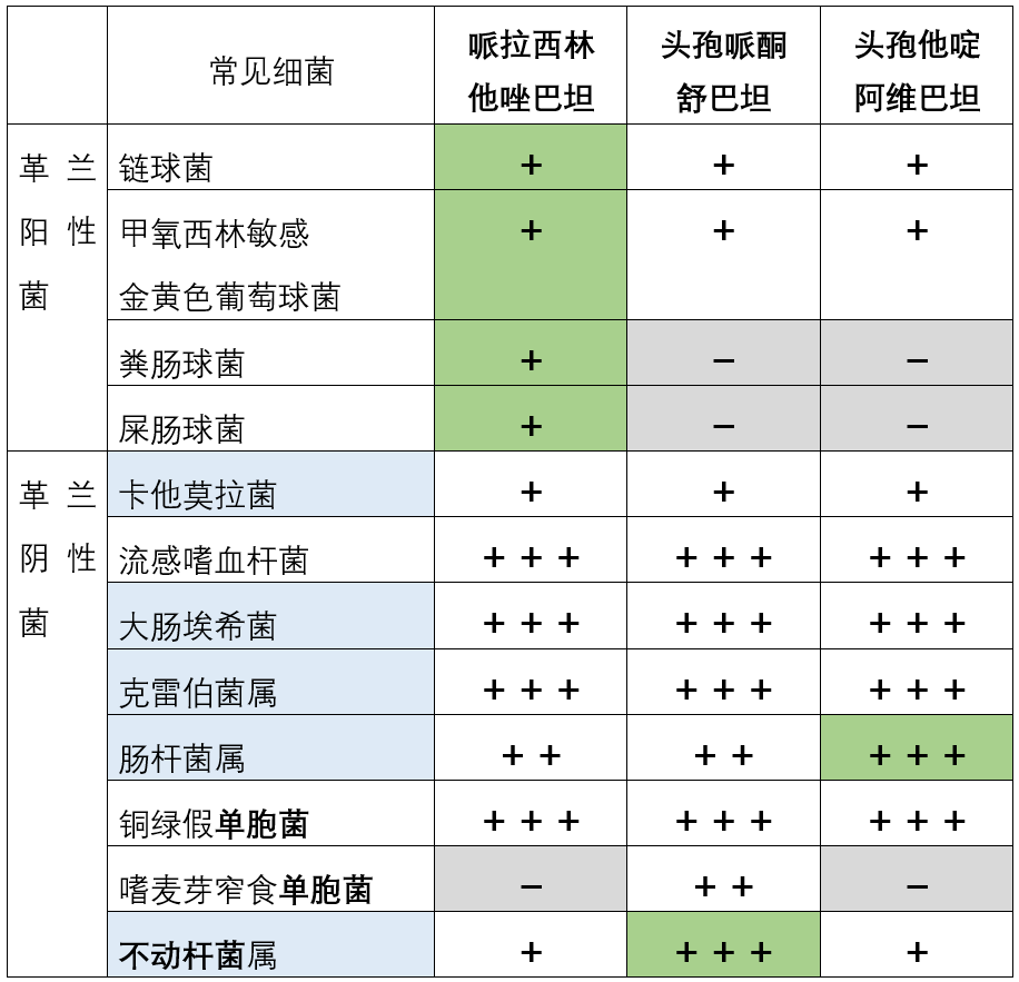 头孢抗菌谱图片