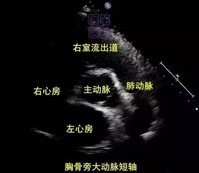 微信图片_20210123093340.png