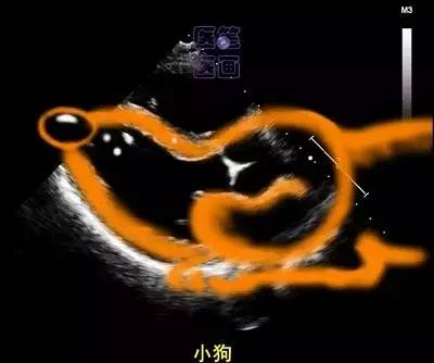 微信图片_20210123093350.png