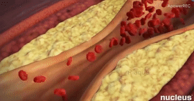 微信图片_20200930110556.gif