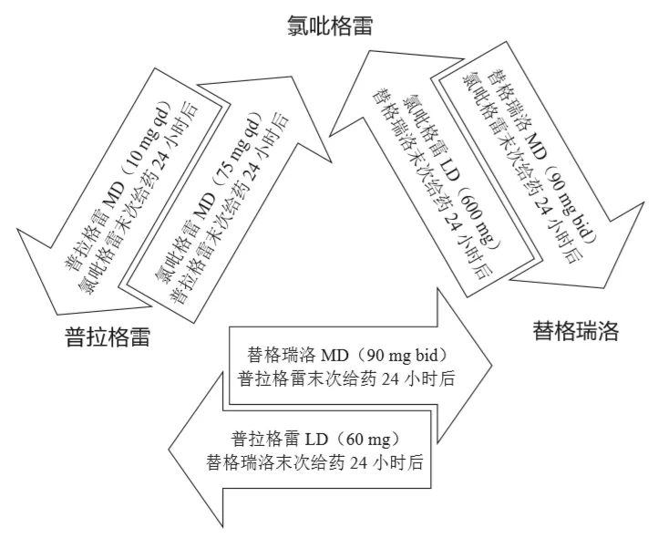 替格瑞洛说明书图片