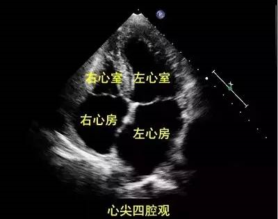 微信图片_20210123093426.png
