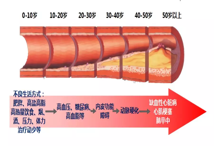上图.png