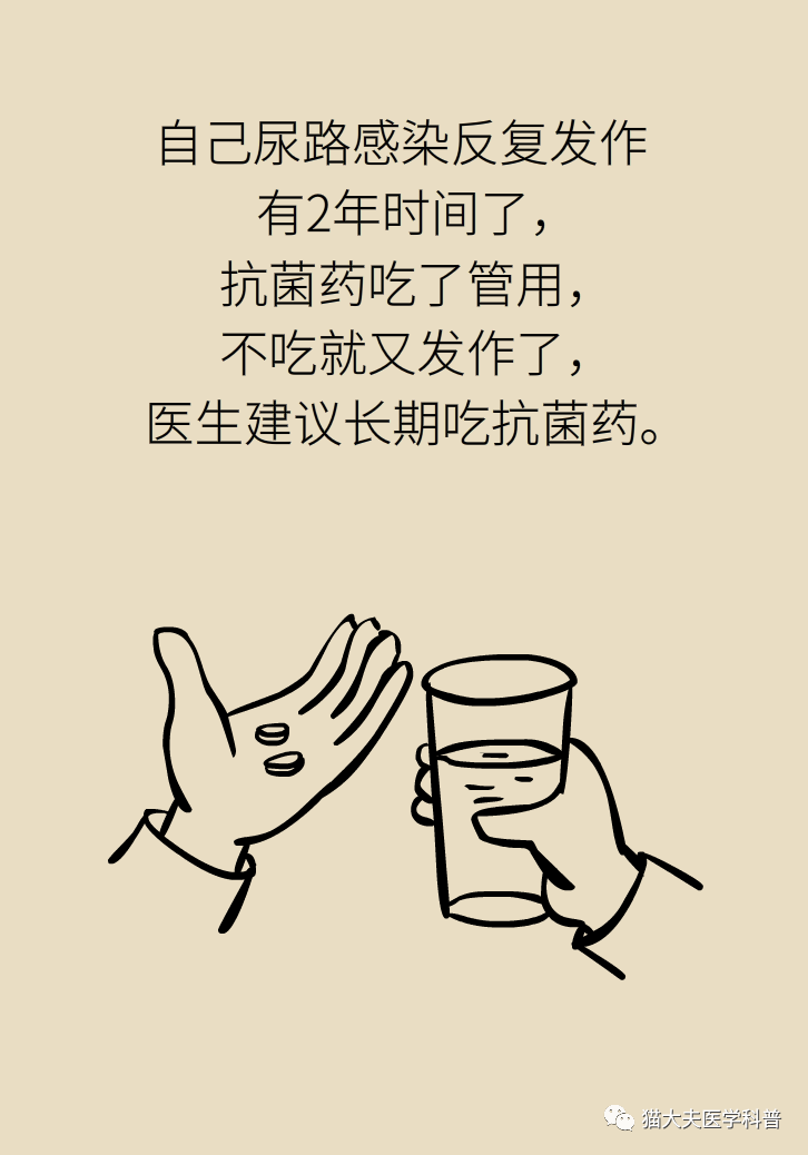 猫猫3.png