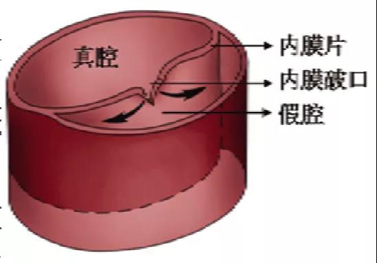 微信图片_20210603134125.jpg