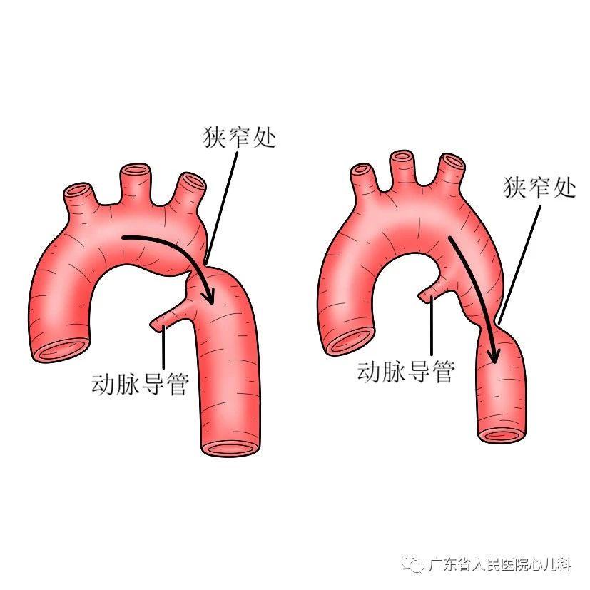 微信图片_20211117143656.jpg