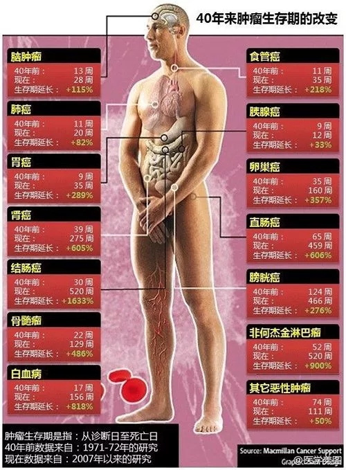 640.webp (11).jpg