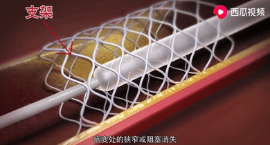 微信图片_20210426171111.png