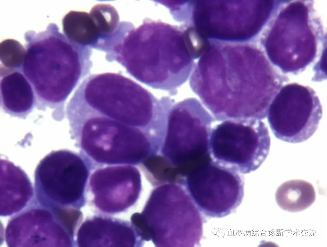 微信图片_20230112154317.jpg
