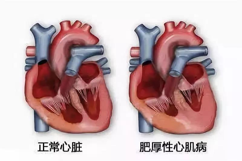 微信图片_20201202160522.jpg