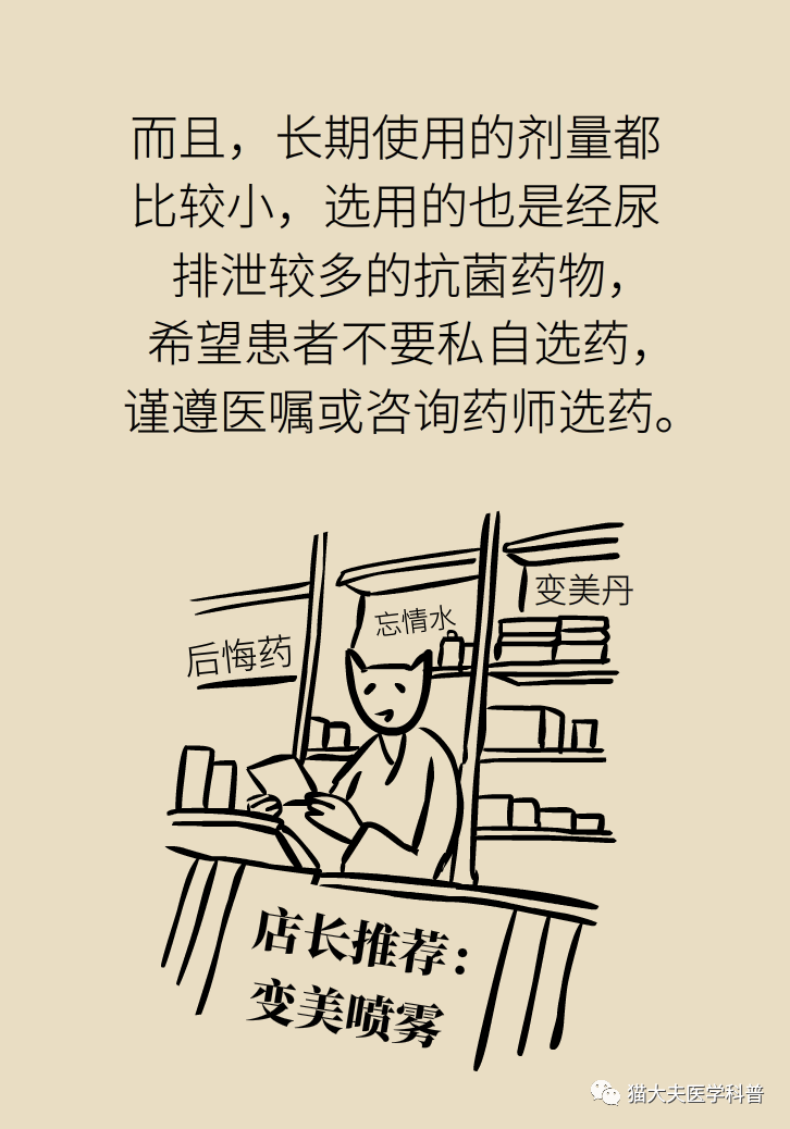 猫猫20.png