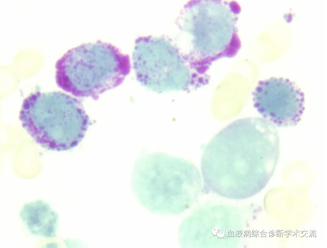 微信图片_20230112154319.jpg