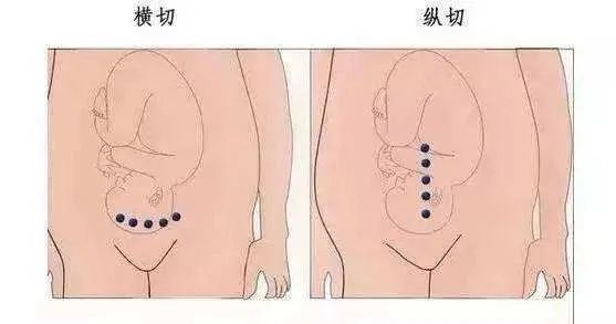 微信图片_20220526165236.png