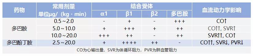 微信图片_20210203173936.jpg