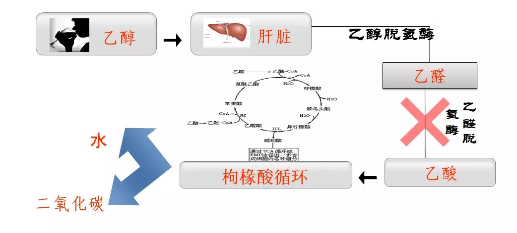 微信图片_20191015125629.png