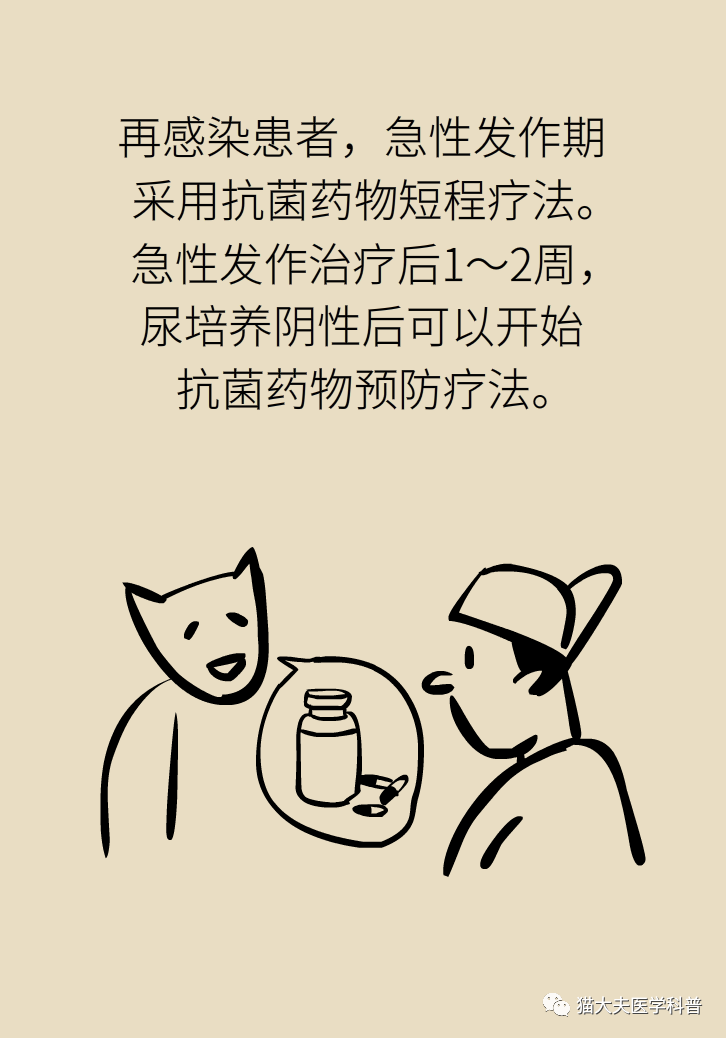 猫猫11.png