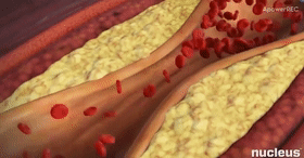 微信图片_20200930110553.gif