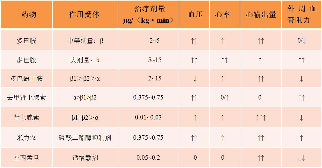 表2.jpg