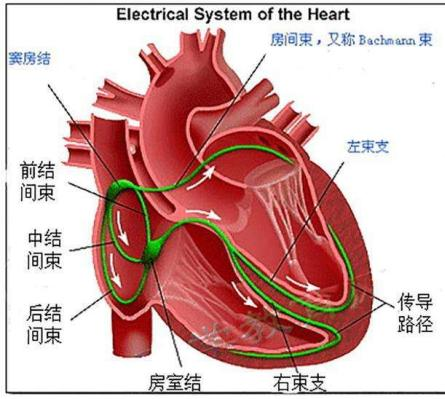 微信图片_20220425101413.png