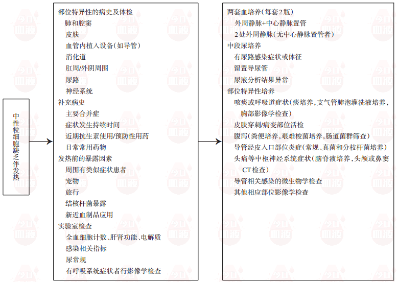 D5 马巧玲老师-图1  患者<span id=