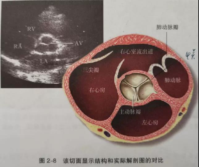微信图片_20220209145422.jpg
