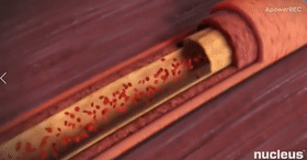 微信图片_20200930110548.gif