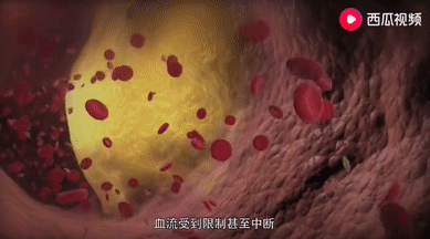 微信图片_20210426165702.png