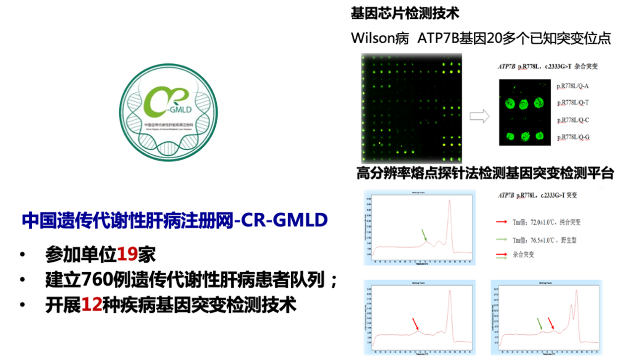 图片铺底模板幻灯.png