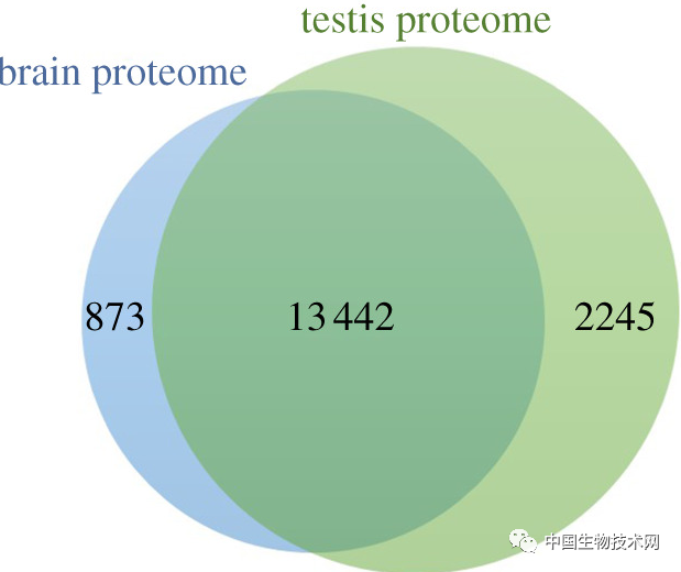 微信图片_20210604141300.png