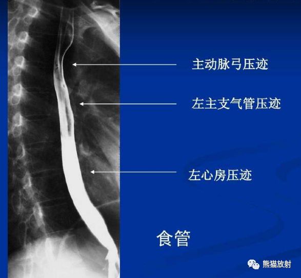 微信图片_20210330101911.jpg