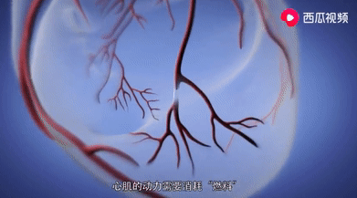 微信图片_20210426165643.png