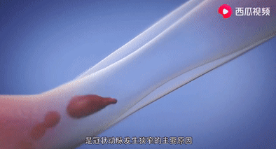 微信图片_20210426165723.png