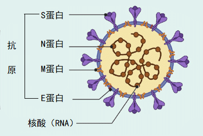 微信图片_20220402132449.png