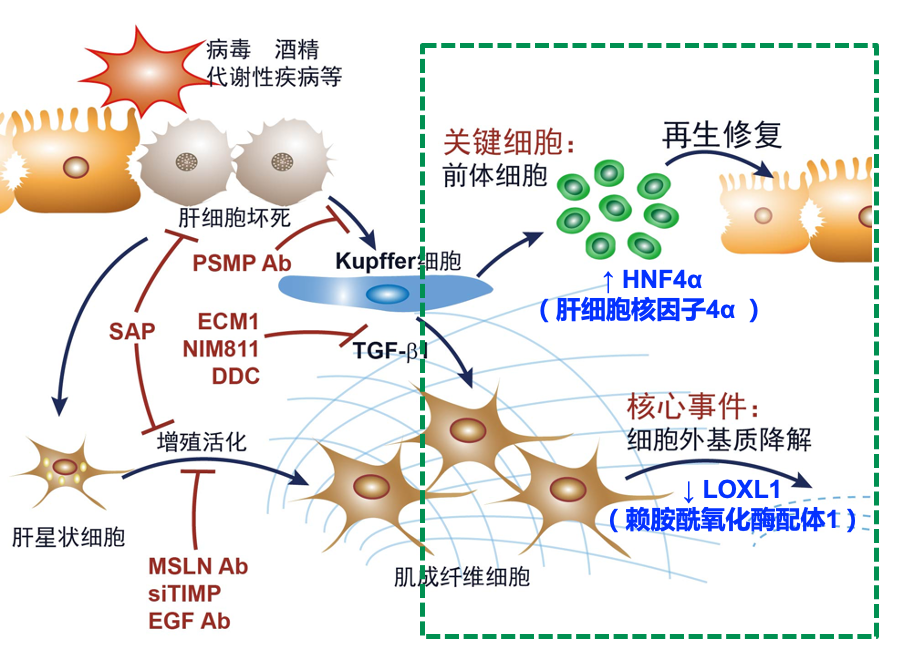 image029.png