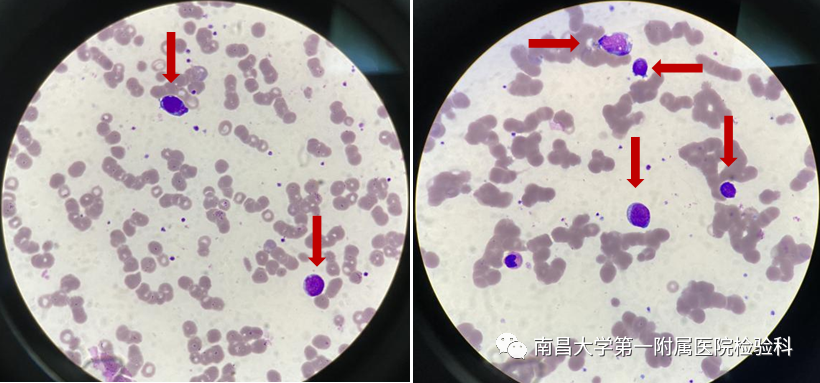 微信图片_20230417132412.png