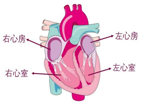 微信图片_20220425101404.png